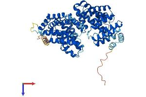 AlphaFold protein structure predicition of Mouse Recombinant Ttc22 Protein, UniprotID Q8C159
