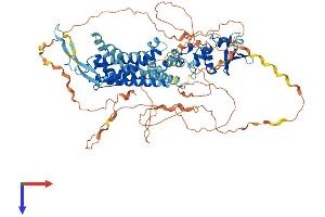 KCNC3 Protein (AA 1-769) (His tag)