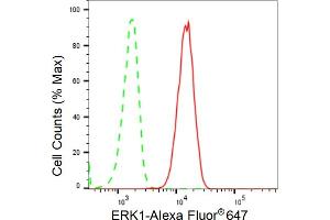 Flow cytometric analysis of ERK1 expression in C2C12 cells using ERK1 antibody (ABIN7799449), 1:2,000). (Rekombinanter ERK1 Antikörper)