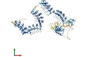 AlphaFold protein structure predicition of Mouse Recombinant Tnks2 Protein, UniprotID Q3UES3
