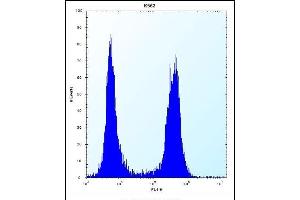 ARSF Antibody (Center) (ABIN657171 and ABIN2846304) flow cytometric analysis of K562 cells (right histogram) compared to a negative control cell (left histogram). (ARSF Antikörper  (AA 236-264))