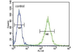 Flow Cytometry (FACS) image for anti-Hydroxysteroid (17-Beta) Dehydrogenase 12 (HSD17B12) antibody (ABIN3004142) (HSD17B12 Antikörper)