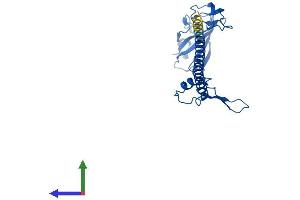 Protein Structure (PS) image for Ribosomal Protein S6 (RPS6) (AA 1-249) protein (His tag) (ABIN7551576)