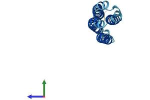 Protein Structure (PS) image for ATPase, H+ Transporting, Lysosomal 16kDa, V0 Subunit C (ATP6V0C) (AA 1-155) protein (His tag) (ABIN7545119)