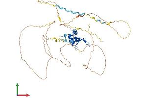 Protein Structure (PS) image for Forkhead Box G1 (FOXG1) (AA 1-481) protein (His tag) (ABIN7557643)