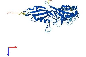 PUSL1 Protein (AA 1-291) (His tag)