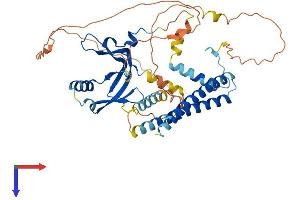 TAF7L Protein (AA 1-462) (His tag)
