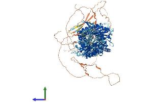 Protein Structure (PS) image for Patched 1 (PTCH1) (AA 1-1434) protein (His tag) (ABIN7563899)