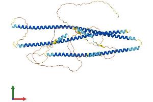 AlphaFold protein structure predicition of Mouse Recombinant Shtn1 Protein, UniprotID Q8K2Q9 (Shootin-1 (SHTN1) (AA 1-631) protein (His tag))