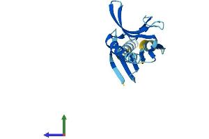Protein Structure (PS) image for Phosphatidylinositol Glycan H (PIGH) (AA 1-188) protein (His tag) (ABIN7557474)