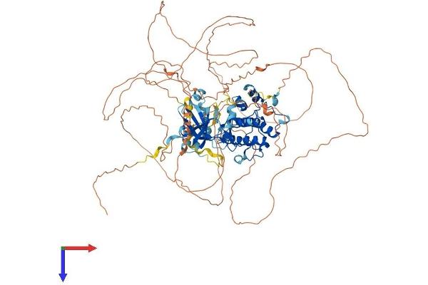 MASTL Protein (AA 1-865) (His tag)