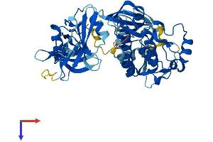 PTK6 Protein (AA 1-451) (His tag)