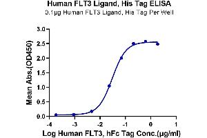 Immobilized Human FLT3 Ligand, His Tag at 1 μg/mL (100 μL/Well) on the plate. (FLT3LG Protein (AA 27-185) (His tag))