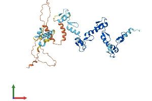 AlphaFold protein structure predicition of Human Recombinant ZNF735 Protein, UniprotID P0CB33
