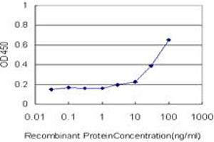 Detection limit for recombinant GST tagged KPNA5 is approximately 3ng/ml as a capture antibody. (KPNA5 Antikörper  (AA 1-539))