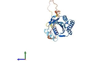Protein Structure (PS) image for MAF1 Homolog (MAF1) (AA 1-256) protein (His tag) (ABIN7549310)