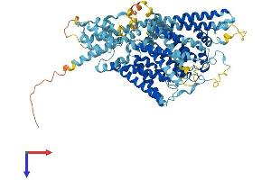 TPCN2 Protein (AA 1-731) (His tag)