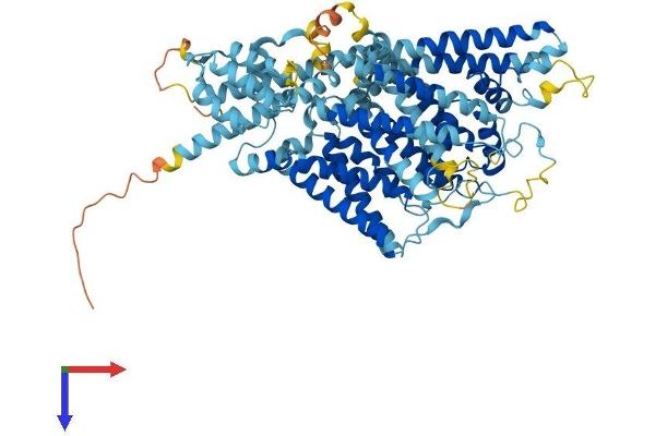 TPCN2 Protein (AA 1-731) (His tag)