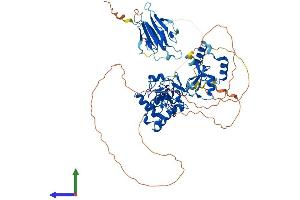 Protein Structure (PS) image for Checkpoint with Forkhead and Ring Finger Domains (CHFR) (AA 1-664) protein (His tag) (ABIN7564311)