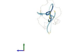 Protein Structure (PS) image for Coiled-Coil Domain Containing 40 (CCDC40) (AA 1-1142) protein (His tag) (ABIN7553012)
