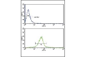 Flow cytometric analysis of MDA-MB231 cells (bottom histogram) compared to a negative control cell (top histogram).