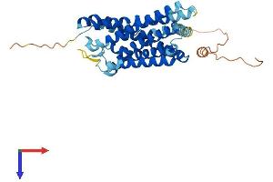 G Protein-Coupled Receptor 68 (GPR68) (AA 1-365) protein (His tag)