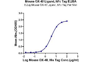 ELISA image for Tumor Necrosis Factor (Ligand) Superfamily, Member 4 (TNFSF4) (AA 51-198) protein (Fc Tag) (ABIN7275394)