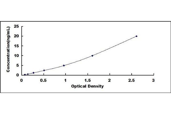 Dopamine d2 Receptor ELISA Kit