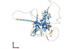 Protein Structure (PS) image for Ubiquitin Specific Peptidase 8 (USP8) (AA 1-1118) protein (His tag) (ABIN7555956)