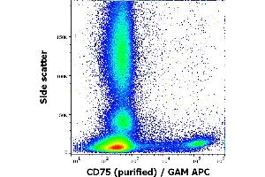 Flow cytometry surface staining pattern of human peripheral whole blood stained using anti-human CD75 (LN1) purified antibody (concentration in sample 5 μg/mL, GAM APC). (ST6GAL1 Antikörper)