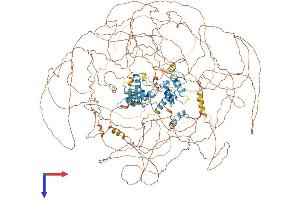 GLI3 Protein (AA 1-1583) (His tag)