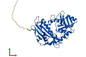 Protein Structure (PS) image for Branched Chain Amino-Acid Transaminase 1, Cytosolic (BCAT1) (AA 1-386) protein (His tag) (ABIN7552661)