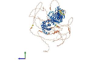 Protein Structure (PS) image for Regulatory Factor X, 1 (Influences HLA Class II Expression) (RFX1) (AA 1-963) protein (His tag) (ABIN7563311)
