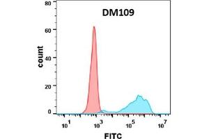 Flow cytometry analysis with Anti-B7-1 (DM109) on Expi293 cells transfected with human B7-1 (Blue histogram) or Expi293 transfected with irrelevant protein (Red histogram). (CD80 Antikörper  (AA 35-242))