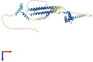 PBX3 Protein (AA 1-434) (His tag)
