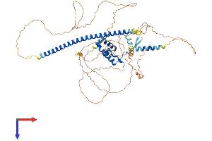 SOX13 Protein (AA 1-622) (His tag)