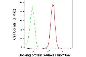 Flow cytometric analysis of docking protein 3 expression in Raji cells using Docking protein 3 antibody (ABIN7798381), 1:1,000).