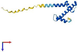 CENPA Protein (AA 1-134) (His tag)