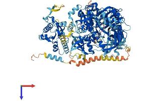 DIS3L Protein (AA 1-1054) (His tag)