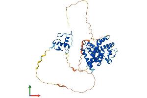 AlphaFold protein structure predicition of Mouse Recombinant Rara Protein, UniprotID P11416