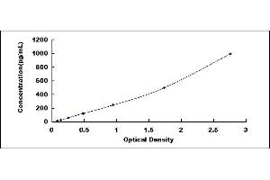 Typical standard curve (IL32 ELISA Kit)