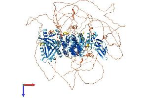 RAPGEF2 Protein (AA 1-1499) (His tag)