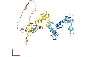 AlphaFold protein structure predicition of Human Recombinant ZNF705G Protein, UniprotID A8MUZ8