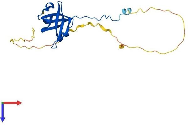 SSBP1 Protein (AA 1-211) (His tag)