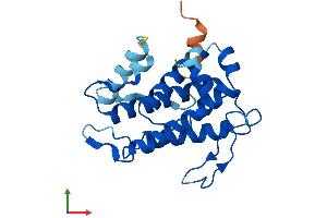 Protein Structure (PS) image for MOB Kinase Activator 3A (MOB3A) (AA 1-217) protein (His tag) (ABIN7558861)