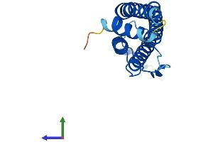 AlphaFold protein structure predicition of Human Recombinant FTHL17 Protein, UniprotID Q9BXU8