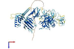 ST14 Protein (AA 1-855) (His tag)