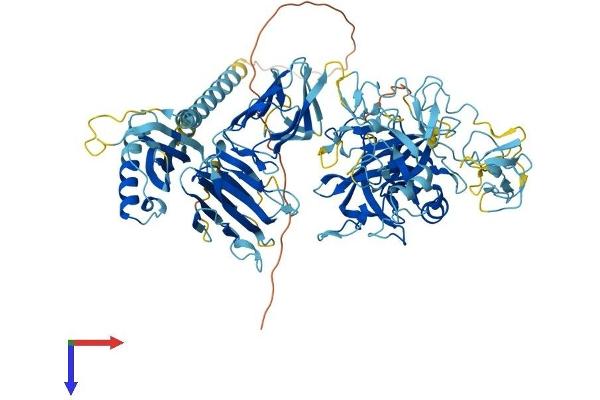 ST14 Protein (AA 1-855) (His tag)