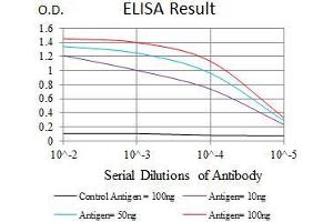 Black line: Control Antigen (100 ng), Purple line: Antigen(10 ng), Blue line: Antigen (50 ng), Red line: Antigen (100 ng), (EGFR Mutant (AA 693-893) Antikörper)