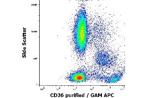 Flow cytometry surface staining pattern of human peripheral whole blood stained using anti-human CD36 (TR9) purified antibody (concentration in sample 1 μg/mL, GAM APC).